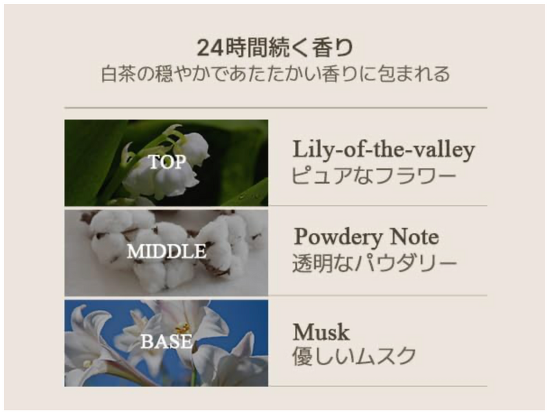 Teabless Lily Musk White Tea Perfumed Body Lotion – Long-Lasting Scent (480g)