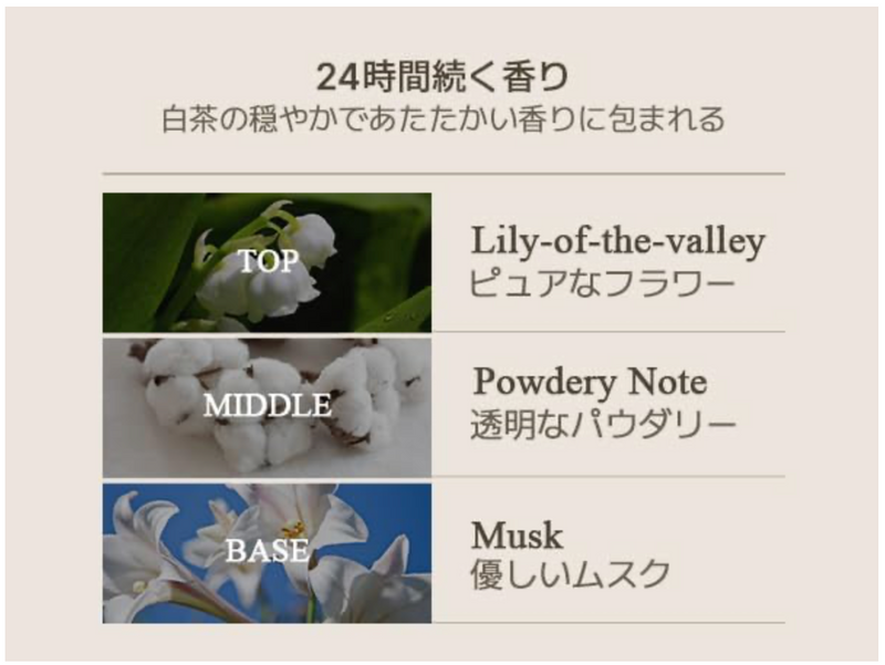 Teabless Lily Musk White Tea Perfumed Body Wash – Hydrating & Long-Lasting Scent (500g)