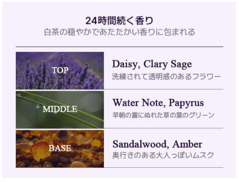 Teabless Sage Amber Purple Tea Perfume Body Wash – Floral Woody Scent (500g)