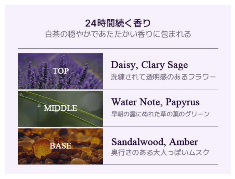 Teabless Sage Amber Purple Tea Perfume Body Lotion – Floral Woody Scent (480g)