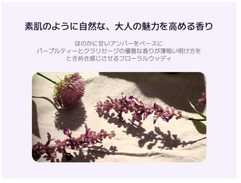 Teabless Sage Amber Purple Tea Perfume Body Lotion – Floral Woody Scent (480g)